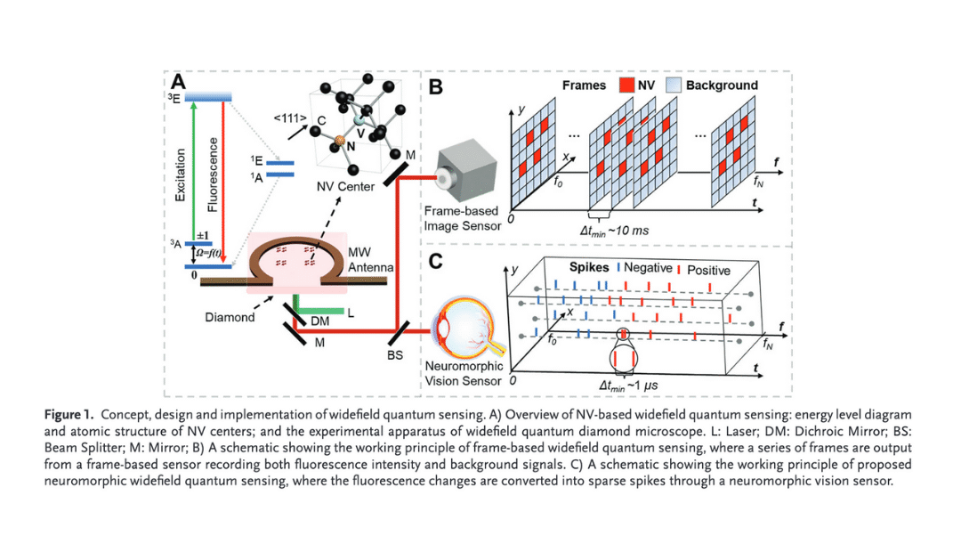 Wideﬁeld Diamond Quantum Sensing with Neuromorphic Vision Sensors