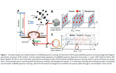Widefield Diamond Quantum Sensing with Neuromorphic Vision Sensors
