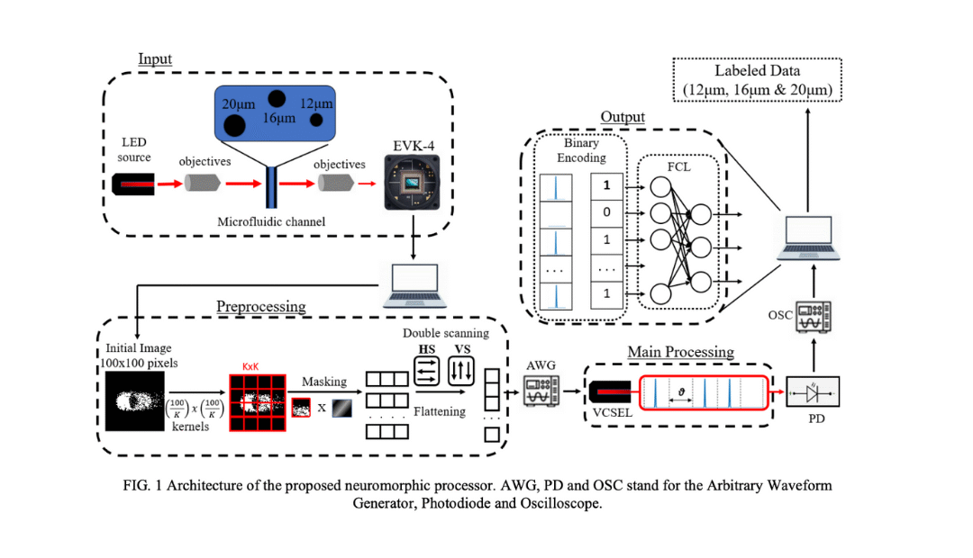 A VCSEL based Photonic Neuromorphic Processor for Event-Based Imaging Flow Cytometry Applications