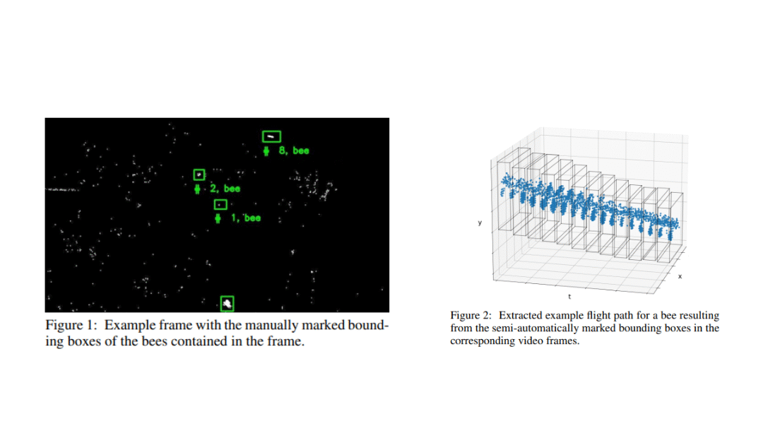 Features for Classifying Insect Trajectories in Event Camera Recordings