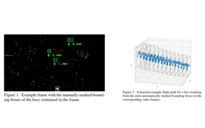 Features for Classifying Insect Trajectories in Event Camera Recordings