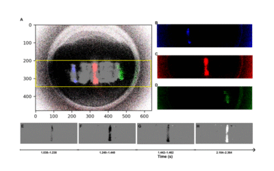 An Event-Based Opto-Tactile Skin