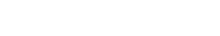 Leonardo, University of Florence and University of Siena