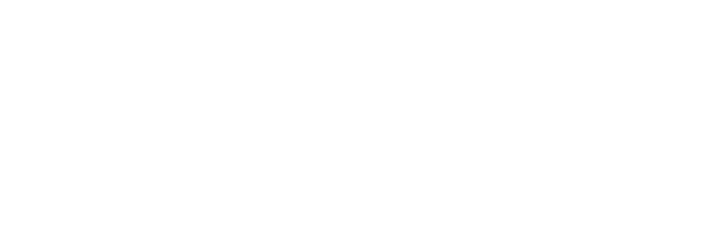 Czech Technical University in Prague Czech Technical University in Prague logo
