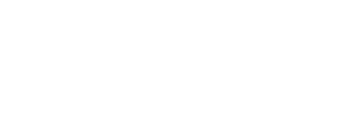 IDS Imaging Development Systems IDS Imaging Development Systems logo