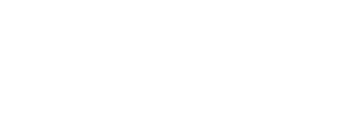 Morpho Morpho logo
