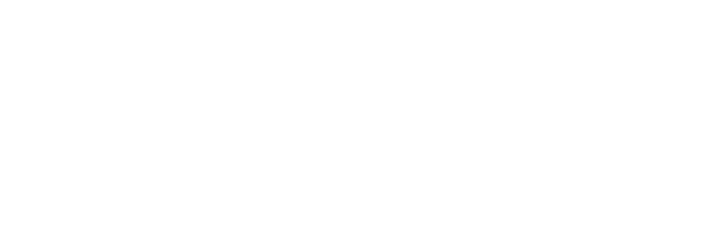 NCCR Robotics NCCR Robotics logo