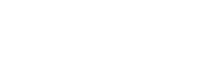 NVIDIA NVIDIA logo