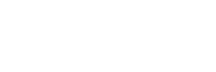 Politecnico di Milano Politecnico di Milano logo