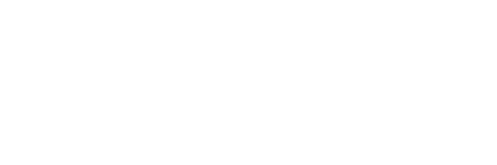 Terranet Terranet logo