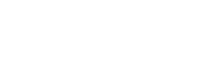 The Australian National University The Australian National University logo