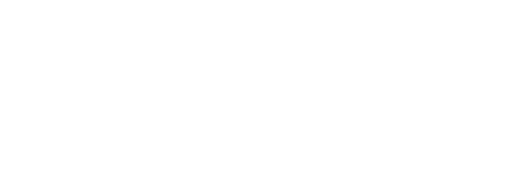 TU Delft TU Delft logo