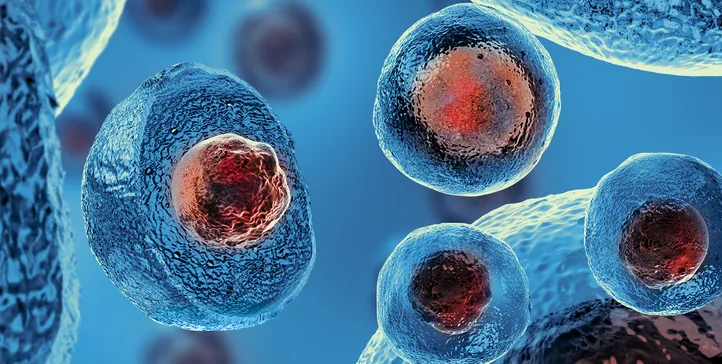 Cell therapy – Cambridge Consultants project using Prophesee Event-Based Vision Cell therapy – Cambridge Consultants project using Prophesee Event-Based Vision