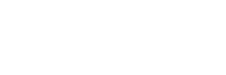 Datalogic Datalogic logo