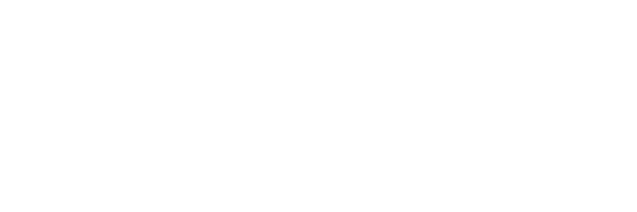 NNAISENSE logo
