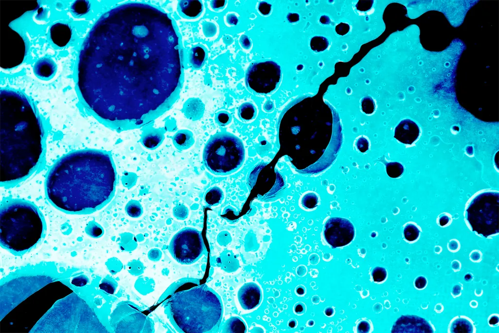 Cells imaged in an Event-Based Vision research project at Ghent University Cells imaged in an Event-Based Vision research project at Ghent University